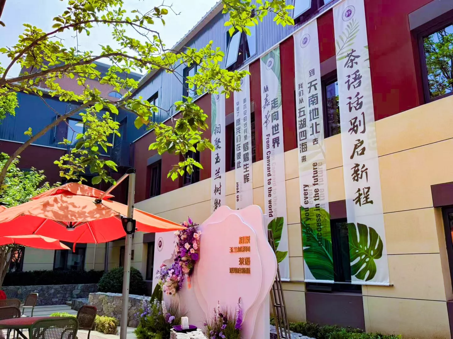 玉兰庭院 玉兰树下